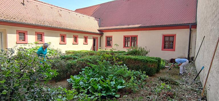Auch Brennesseln und Efeu haben ihre Berechtigung im Kräutergarten der Kartäuser. Allerdings nur in begrenztem Raum. Inzwischen ist der Wildwuchs beseitigt und die kreuzförmige Buchspflanzung wieder erkennbar.