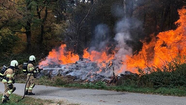 Feuerwehrleute bekämpfen die meterhohen Flammen.