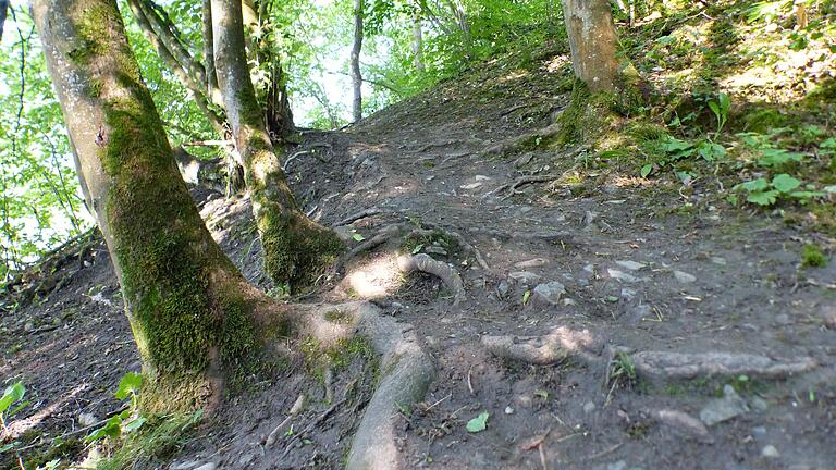 Steil und glatt ist der Dschungelpfad an einigen Wegstücken, wie das Bild vom Juni 2021 zeigt.