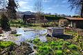 Konflikt zwischen Wasserschutz und Kleingartengebiet in Münnerstadt       -  Dieses Grundstück im Schrebergartengebiet im Münnerstädter Tal ist zu einem Feuchtbiotop geworden. An eine Bewirtschaftung ist derzeit nicht zu denken.