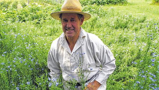 Blau blüht der Flachs: Bei Gerhard Strauß im Creglinger Ortsteil Burgstall reift die Ernte heran, die anschließend im Museum Flachsbrechhütte verarbeitet wird.