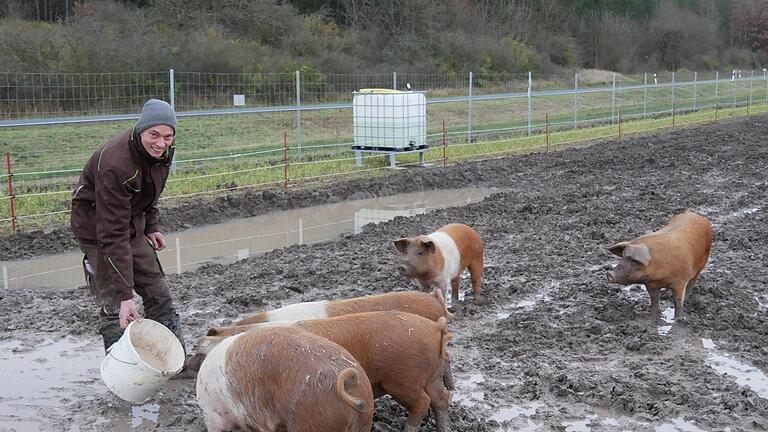 Julian Reinhard füttert seine Schweine. Er hält seine Tiere nach den Vorgaben der biologischen Landwirtschaft. In ihrem riesigen Freilauf haben sie jede Menge Möglichkeit, sich nach Herzenslust zu suhlen.       -  Julian Reinhard füttert seine Schweine. Er hält seine Tiere nach den Vorgaben der biologischen Landwirtschaft. In ihrem riesigen Freilauf haben sie jede Menge Möglichkeit, sich nach Herzenslust zu suhlen.