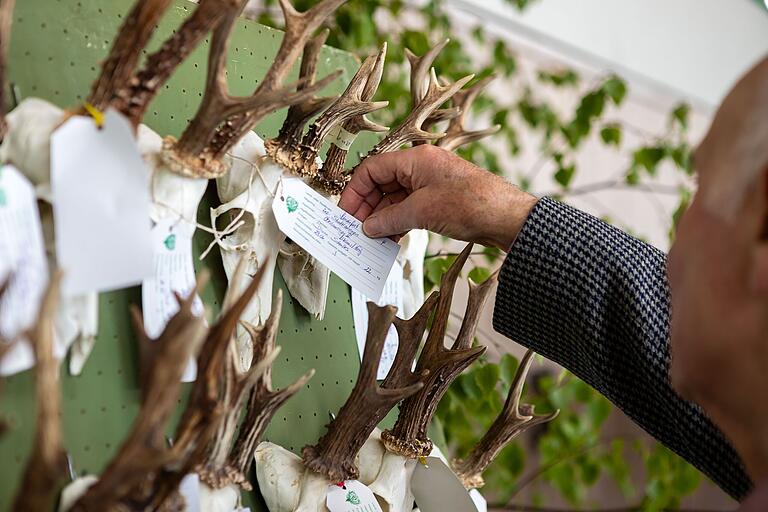 Während der Hegeschau des Landkreises Schweinfurt in Unterspiesheim präsentierten die acht Hegegemeinschaften ihre Trophäen des zurückliegenden Jagdjahres 2023/24.