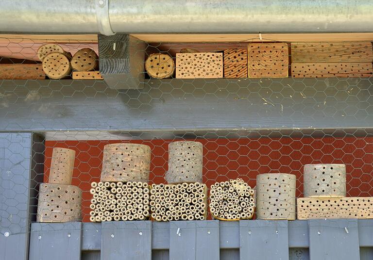 Im Garten seines Anwesens in Stammheim hat Walter Wieland verschiedene Probehölzer und -röhren platziert, um herauszufinden, welche Nisthilfen von den unterschiedlichen Bienen- und Hummelarten am besten angenommen werden.&nbsp;