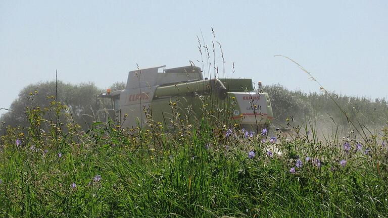 Kann auf dem Dorf schon mal passieren: Wenn die Erntearbeiten drängen, fällt die Gemeinderatssitzung aus.