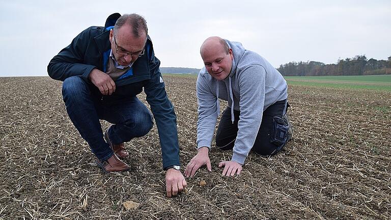 Landwirt Jochen Klein (rechts) untersucht gemeinsam mit AELF-Pflanzenbauberater Heinz-Dieter Hofmann (links) ein Feld, das er vor vier Wochen mit Wintergerste eingesät hat und auf dem durch die anhaltende Trockenheit je nach Boden nur lückenhaft oder gar keine Pflanzen aufgegangen sind.