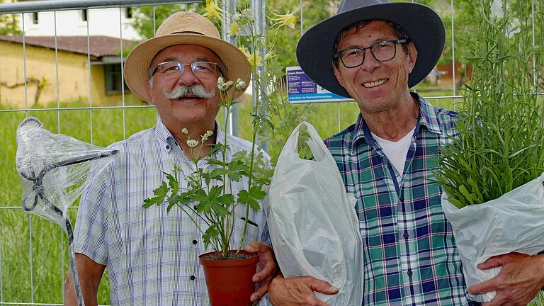 Auf reges Besucherinteresse stieß auch die diesjährige Kunst- und Gartenmesse in Arnstein.