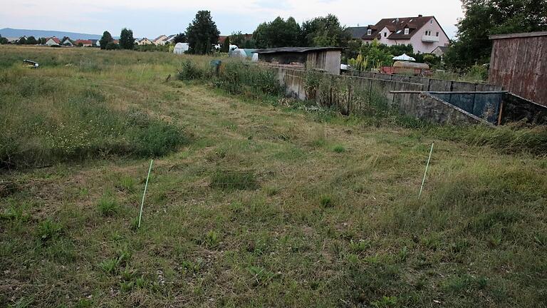 Auf diesem Gelände im Norden von Alitzheim und soll das neue Baugebiet entstehen. Im Anschluss an die Baumschule Gerlach dürfen etwa 20 Häuslebauer in vier Jahren auf ein neues Zuhause hoffen.