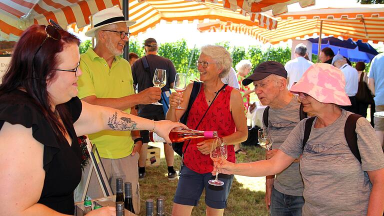 Im idyllischen Obstgarten der Vogelsburg war die Bioweinverkostung des Vereins Fränkischer Ökowinzer für viele Weinliebhaber ein kurzweiliges Erlebnis.