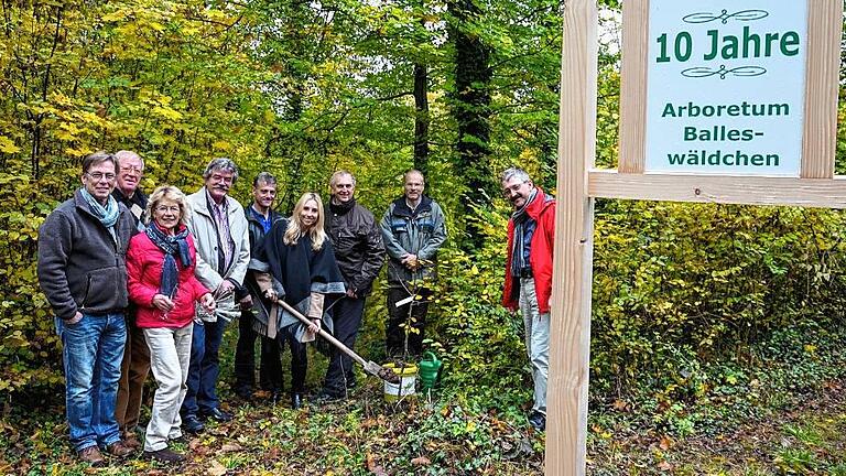 Zum zehnjährigen Bestehen des Aboretums im Balleswäldchen Arnstein pflanzte Bürgermeisterin Anna Stolz mithilfe der Arnsteiner Stadträte eine Mehlbeere. Im Bild von links: Stadtrat Martin Fischer, Altbürgermeister Roland Metz, Waltraud Julke, Stadträte Bernd Röll und Uwe Rexter, Bürgermeisterin Anna Stolz, Ideengeber und Stadtrat Frank Julke, Revierförster Christoph Hamann sowie Stadtrat Josef Grodel.