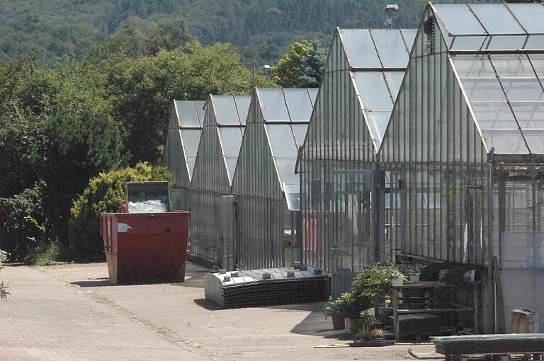 Einige der Glashäuser der Gärtnerei Hutzel kurz vor dem Abriss im Juli 2018. Einige der Glashäuser der Gärtnerei Hutzel kurz vor dem Abriss im Juli 2018.
