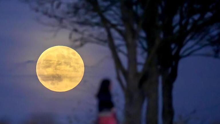 Eine Person geht in Baden-Württemberg nach Einbruch der Dunkelheit spazieren. Im Hintergrund leuchtet der Vollmond. Foto: Thomas Warnack/dpa       -  Wann Neumond oder Vollmond 2024 am Himmel stehen, erfahren Sie hier in unserem Mondkalender.