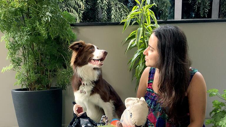 Border Collie 'Gaia'       -  Gaia trainiert mit ihrer Besitzerin oft stundenlang.