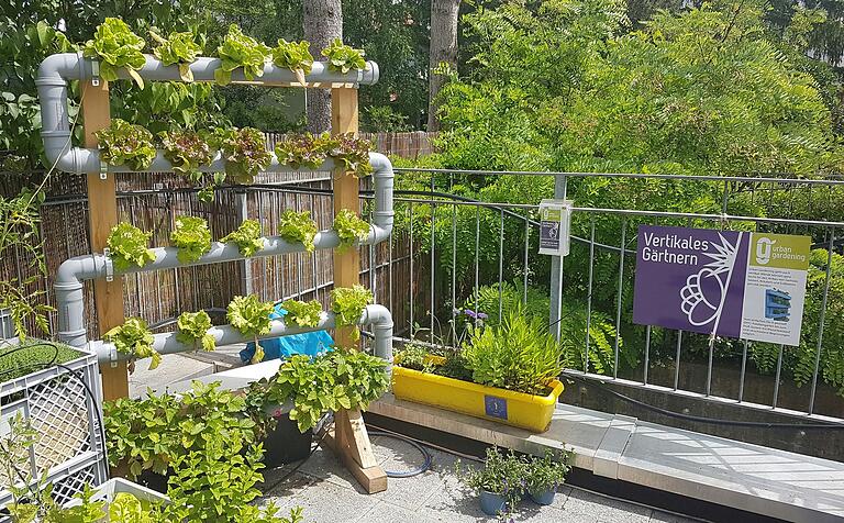 Röhrensystem für hydroponische Anzucht: Die Pflanzen kommen dabei komplett ohne Erde und mit weit weniger Wasser aus. Röhrensystem für hydroponische Anzucht: Die Pflanzen kommen dabei komplett ohne Erde und mit weit weniger Wasser aus.