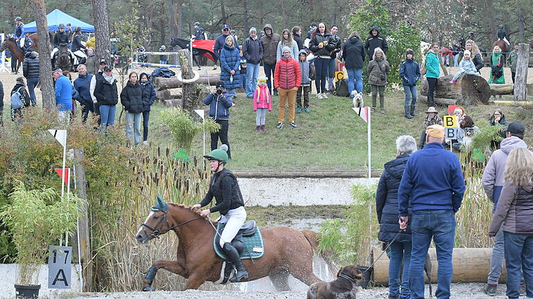 Bayerische und Fränkische Meisterschaft beim RFV Sulzthal       -  Viele Besucher ließen sich vom teils ungemütlichen Wetter nicht die gute Laune verderben bei den Titelkämpfen auf der Sulzthaler Steige.