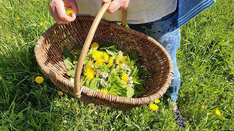 Nett sehen die gesammelten Kräuter und Blüten im Körbchen aus.