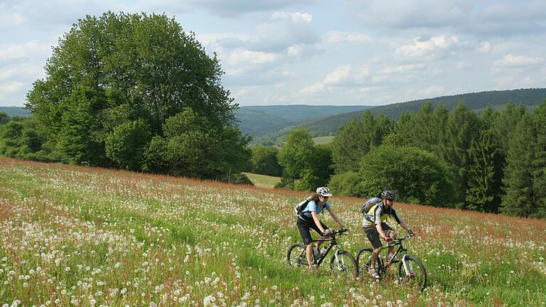 Die Orte Frammersbach, Flörsbachtal, Partenstein, Lohr sowie die Gemeinden des Sinngrunds und der Landkreis Aschaffenburg haben drei Bikegebiete zum Bikewald Spessart zusammengefasst.