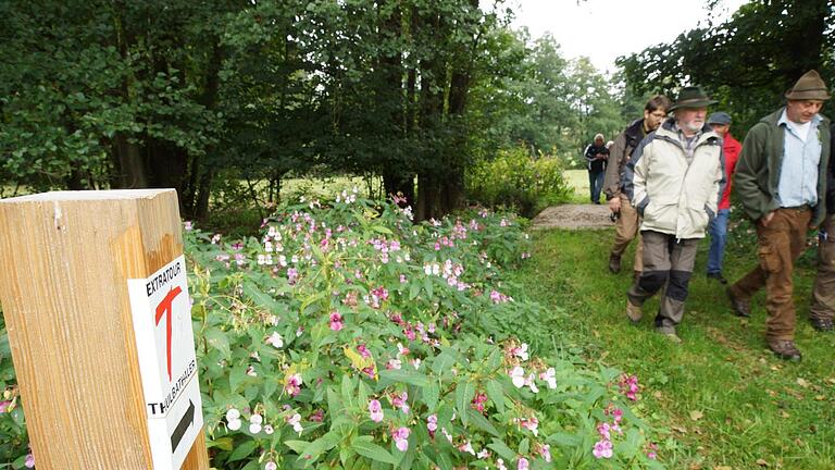 Der Verein 'Tourismus Thulbatal' will auch weiterhin durch Wanderwege und Natur-Erlebnis Gäste in die Region holen. Der mit dem roten 'T' markierte Rundwanderweg 'Thulbataler' ist eines der Aushängeschilder. Foto: Archiv/Arkadius Guzy - Der Verein 'Tourismus Thulbatal' will auch weiterhin durch Wanderwege und Natur-Erlebnis Gäste in die Region holen. Der mit dem roten 'T' markierte Rundwanderweg 'Thulbataler' ist eines der Aushängeschilder. Foto: Archiv/Arkadius Guzy Der Verein 'Tourismus Thulbatal' will auch weiterhin durch Wanderwege und Natur-Erlebnis Gäste in die Region holen. Der mit dem roten 'T' markierte Rundwanderweg 'Thulbataler' ist eines der Aushängeschilder. Foto: Archiv/Arkadius Guzy - Der Verein 'Tourismus Thulbatal' will auch weiterhin durch Wanderwege und Natur-Erlebnis Gäste in die Region holen. Der mit dem roten 'T' markierte Rundwanderweg 'Thulbataler' ist eines der Aushängeschilder. Foto: Archiv/Arkadius Guzy