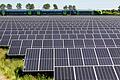 Der Karlstadter Bauausschuss diskutierte über eine mögliche neue PV-Freiflächenanlage bei Rohrbach. (Symbolbild)