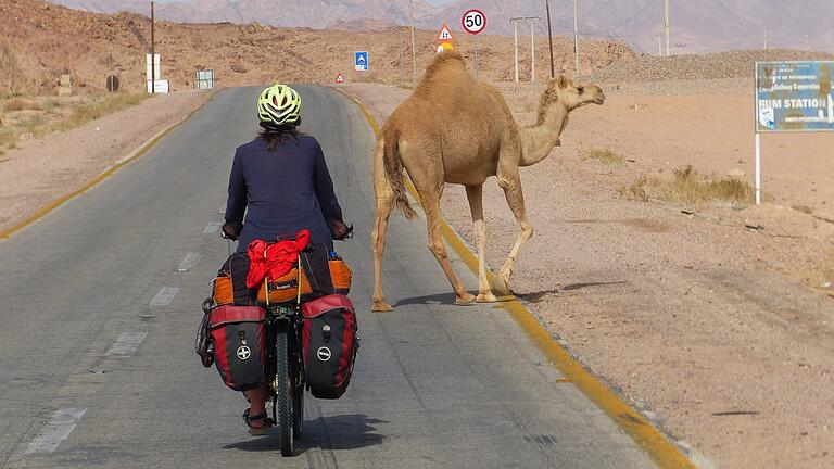 Immer wieder kreuzen Kamele den Weg der fränkischen Radler. Immer wieder kreuzen Kamele den Weg der fränkischen Radler.