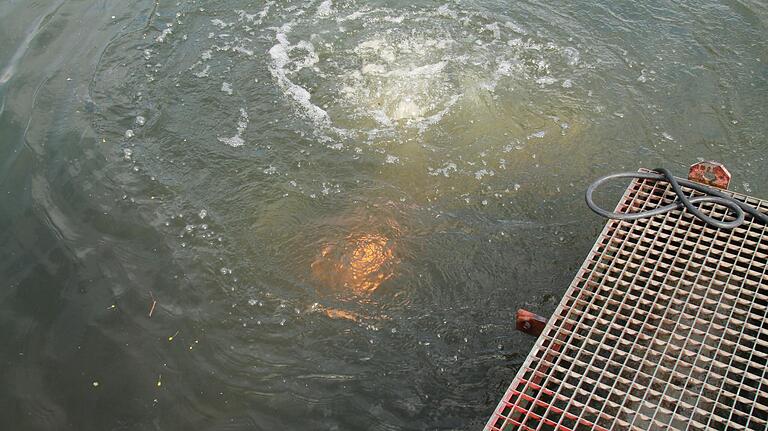 Feuer unter Wasser: Mit dem Schneidbrenner werden die Spunddielen aus Stahl abgebrannt.