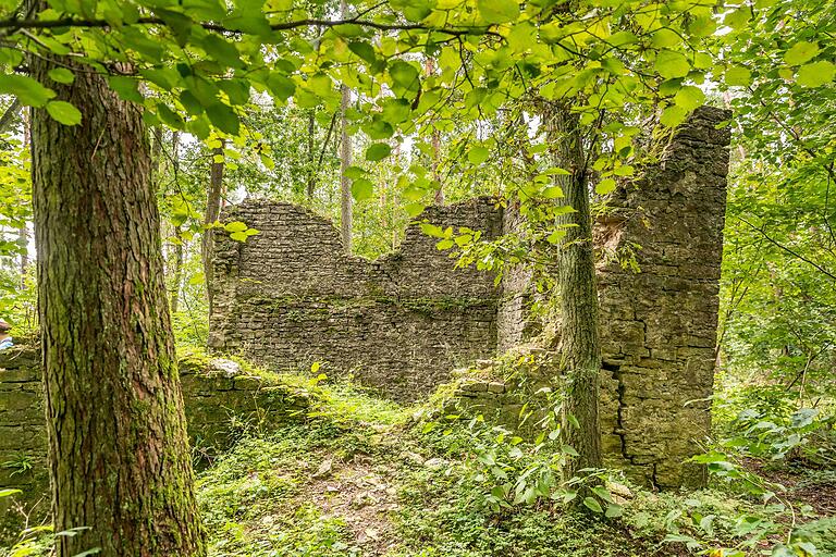 Zur Ruine des spätmittelalterlichen Wartturms 'Blauer Turm' gelangt
man über einen verschlungenen Waldpfad. Der Wartturm entstand zwischen dem 14. und 15.
Jahrhundert im Auftrag der Herren von Thüngen.