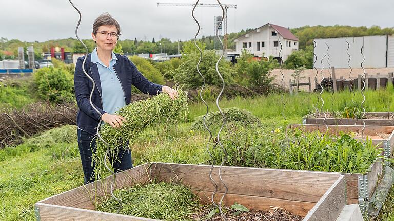 Im Gewerbegebiet von Erbshausen (Lkr. Würzburg) hat Barbara Voll rund um ihr Firmengebäude ein Naturparadies geschaffen. In den Hochbeeten baut sie Tomaten, Gurken und Paprika an. Im Gewerbegebiet von Erbshausen (Lkr. Würzburg) hat Barbara Voll rund um ihr Firmengebäude ein Naturparadies geschaffen. In den Hochbeeten baut sie Tomaten, Gurken und Paprika an. 