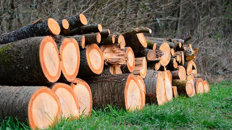 So ein Stapel Holz kam zustande, nachdem Dieter Rüger von Bauhof Gössenheim die Kirsche zerlegt hatte.