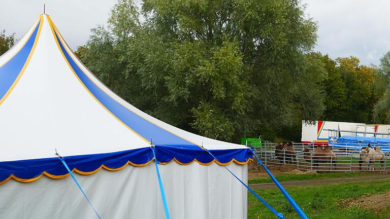 Der Zirkus Renz ist in Knetzgau gestrandet. Damit es die Zirkusleute nicht zu bequem haben, hat ihnen die Gemeinde inzwischen Strom und Wasser abgestellt.