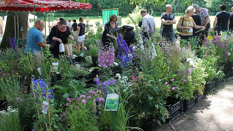 Im Schlosspark schlendern und nach Blumen, Kräutern und Stauden schauen - wie hier auf unserem Archivbild. Daraus wurde heuer kurzfristig in Schloss Gereuth nichts - zum Frust vieler überraschter Besucherinnen und Besucher.