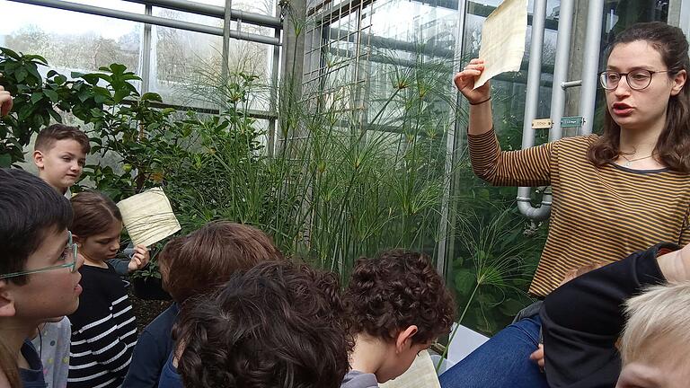 Beim Besuch im Bot. Garten der Univ. Würzburg vermittelt Emily Schweitzer-Martin, die Koordinatorin des LLG Wissen über den Aufbau und die Nutzung der Papyruspflanze.