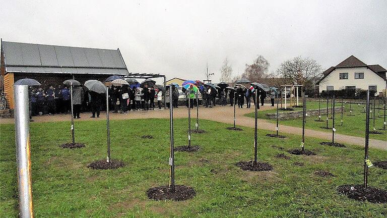 Bei strömenden Regen wurde am Sonntagnachmittag der erste Friedweinberg Bayerns in Nordheim offiziell seiner Bestimmung übergeben. Die Segnung vollzogen Pater Philippus und Pfarrerin Mareike Rathje. Walter Braun