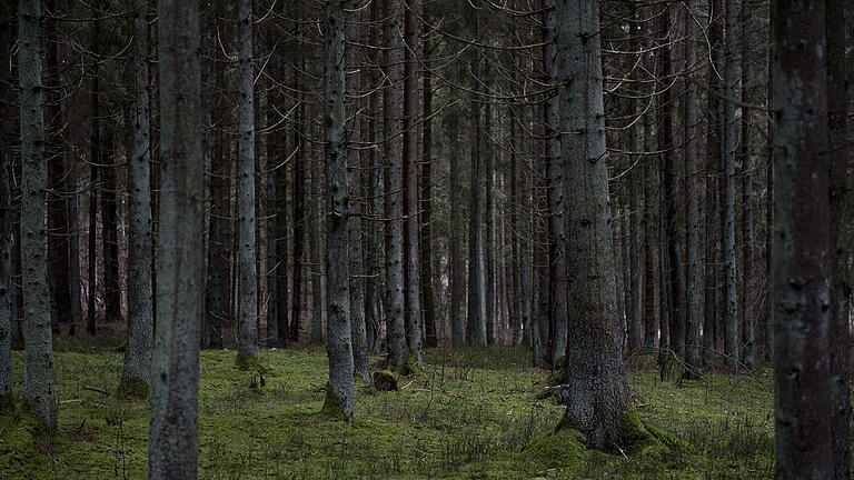 Am Samstag, 7. März, eröffnet das Fränkische Freilandmuseum des Bezirks Mittelfranken die Ausstellung „Wolfskinder“ – Verlassen zwischen Ostpreußen und Litauen“.&nbsp;