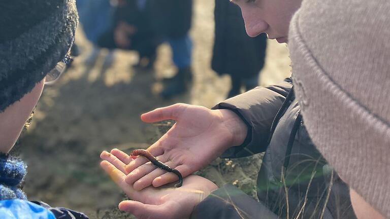 Ein Wattwurm auf der Hand – das fühlt sich glitschig an. Ein Wattwurm auf der Hand – das fühlt sich glitschig an. 