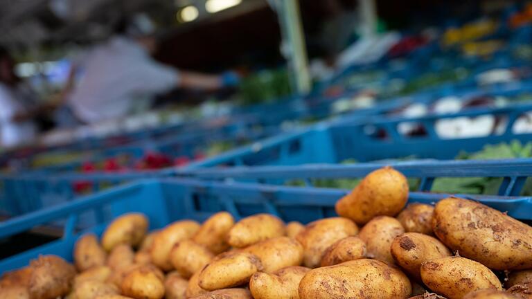 Kartoffeln       -  Die Anbaufläche für Kartoffeln blieb in Bayern nahezu gleich. (Archivbild)