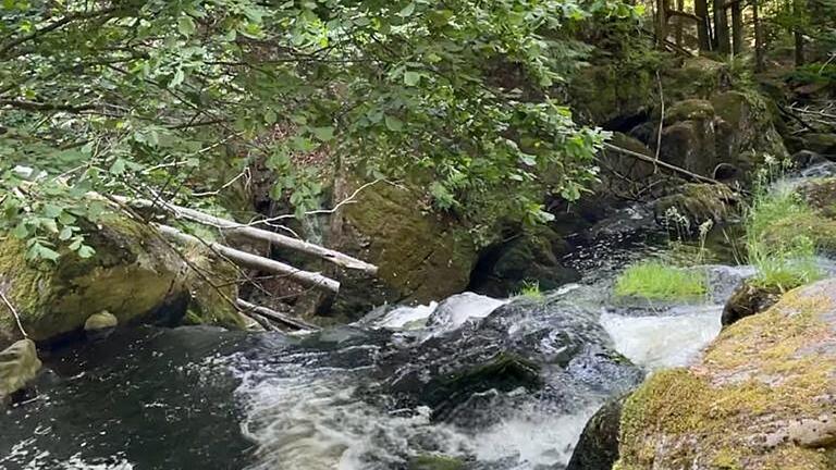 Naturjuwel Wildromantische Steinklamm