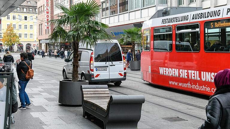 An den Palmen in der Würzburger Kaiserstraße scheiden sich die Geister – an der restlichen Gestaltung auch. An den Palmen in der Würzburger Kaiserstraße scheiden sich die Geister – an der restlichen Gestaltung auch.