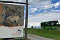Der Wildparkbus der Linie 955 bei der Anfahrt zum Wildpark: Diese Linie pendelt ab Mittwoch, 1. Mai, bis Dienstag, 31. Oktober, zwischen der Stadt Bad Mergentheim und dem Wildpark.