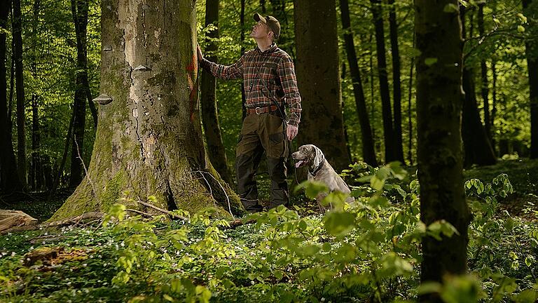 Mit Simon Abeln im Wald       -  Ein Grund den Wald zu lieben: die Bäume!