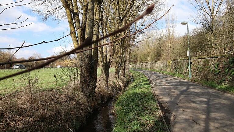 Direkt neben dem Mühlbach verläuft der Radweg von Kitzingen in Richtung Repperndorf, der bei Starkregen überflutet wird. Direkt neben dem Mühlbach verläuft der Radweg von Kitzingen in Richtung Repperndorf, der bei Starkregen überflutet wird.