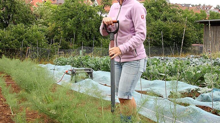 Jeannette Kähler 2022 im Fenchel-Beet.&nbsp;