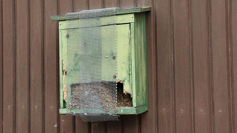 Doch nicht ganz unbewohnt: Im Briefkasten an der Eingangstür hat sich ein Vogelpärchen ein Nest gebaut. Doch nicht ganz unbewohnt: Im Briefkasten an der Eingangstür hat sich ein Vogelpärchen ein Nest gebaut.