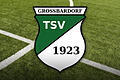 TSV Großbardorf Logo