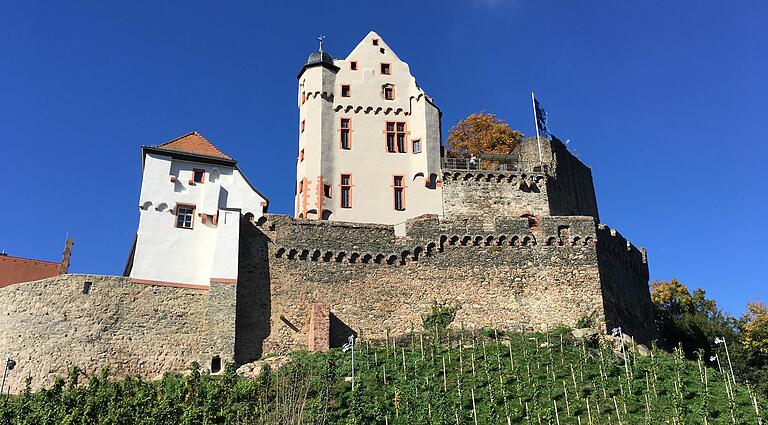 Vorbei an der Burg Alzenau: Frühjahrs-Radtour durch den Kahlgrund