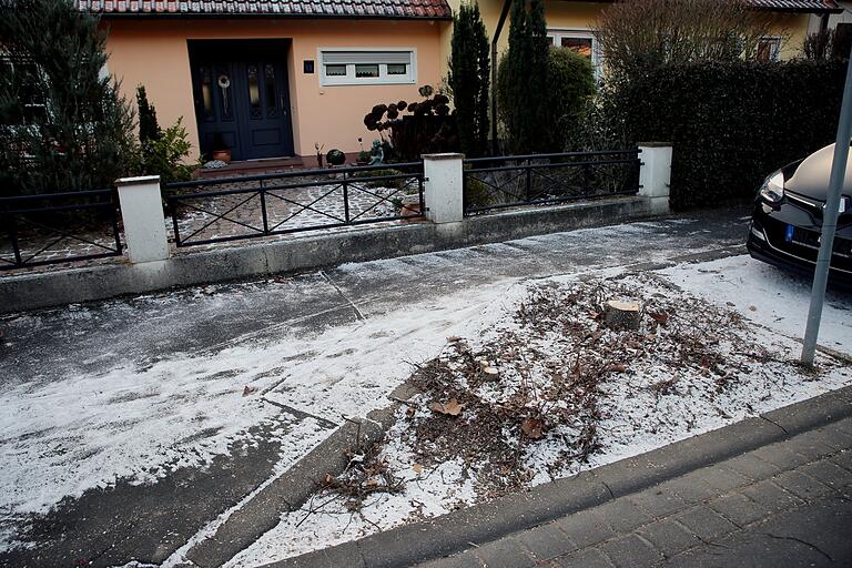 Auch in dieser Pflanzfläche wurde die Linde gefällt.