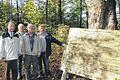 Holzkohle als Benzinersatz