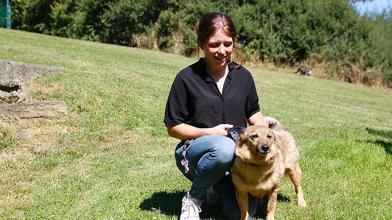 Schwer vermittelbare Hunde im Tierheim Wannigsmühle - Klein Leo kann auch mal zubeißen, wenn er sich nicht anders zu helfen weiß. Schwer vermittelbare Hunde im Tierheim Wannigsmühle - Klein Leo kann auch mal zubeißen, wenn er sich nicht anders zu helfen weiß.