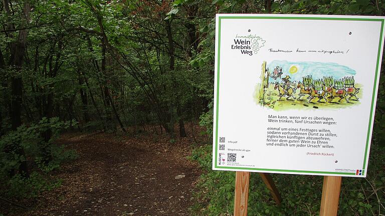 Bis auf diesen steilen Abstieg durch Wald und Wiesen ist der Weg praktisch barrierefrei. Bis auf diesen steilen Abstieg durch Wald und Wiesen ist der Weg praktisch barrierefrei.