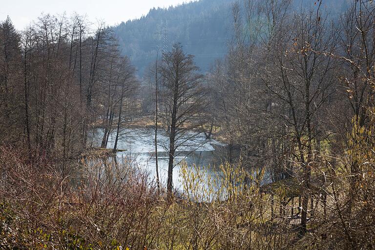 Blick auf den See im Kurpark in Heigenbrücken. Er ist nur wenige Laufminuten vom Parkplatz (und dem Startpunkt des Wanderweges) entfernt. Blick auf den See im Kurpark in Heigenbrücken. Er ist nur wenige Laufminuten vom Parkplatz (und dem Startpunkt des Wanderweges) entfernt.