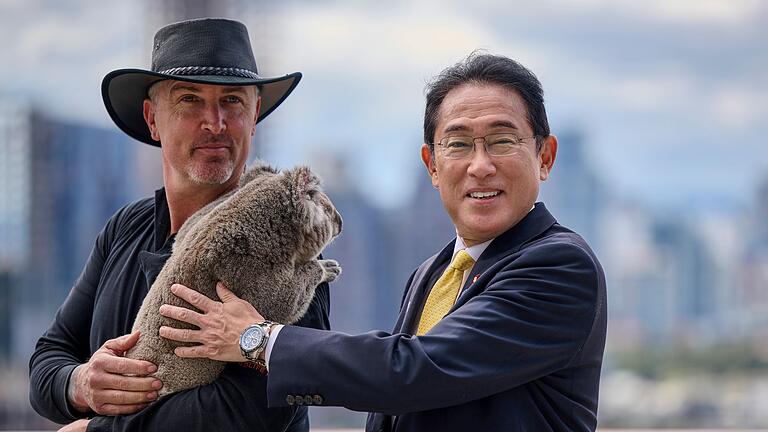Japans Premierminister Kishida im Koala-Schutzzentrum - Auch viele Prominente, wie Japans Ministerpräsident Fumio Kishida, haben schon mit Koalas gekuschelt. (Archivbild) Japans Premierminister Kishida im Koala-Schutzzentrum - Auch viele Prominente, wie Japans Ministerpräsident Fumio Kishida, haben schon mit Koalas gekuschelt. (Archivbild)